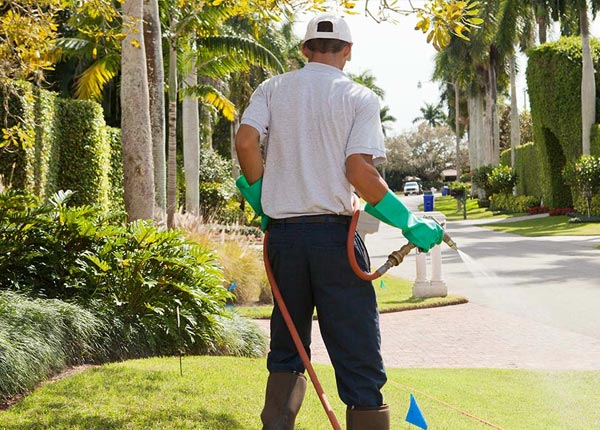 About West Mystic CT Pest Control Pros